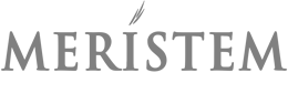 Meristem Securities